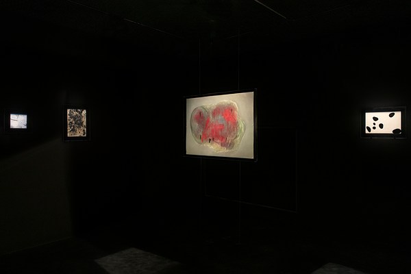Image 3 of 22