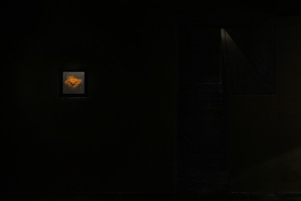 Image 4 of 22