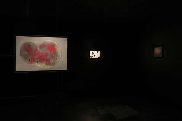 Image 7 of 22