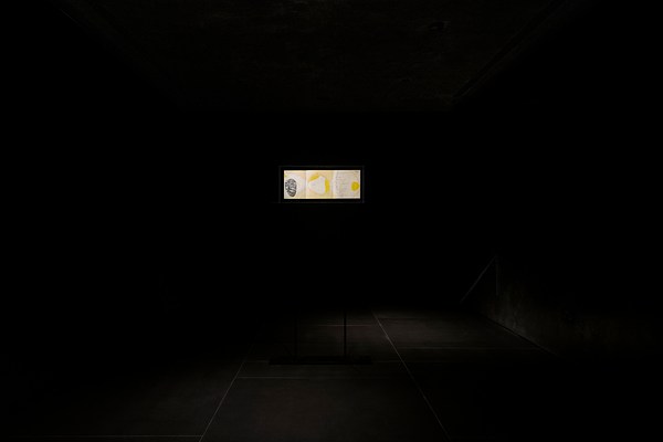 Image 11 of 22