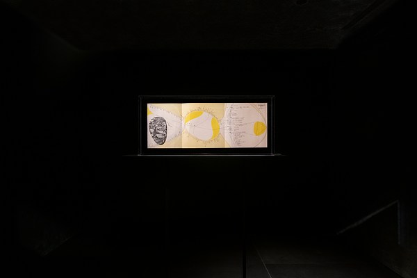 Image 12 of 22