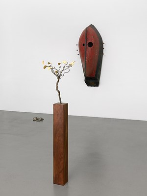 Image 4 of 16