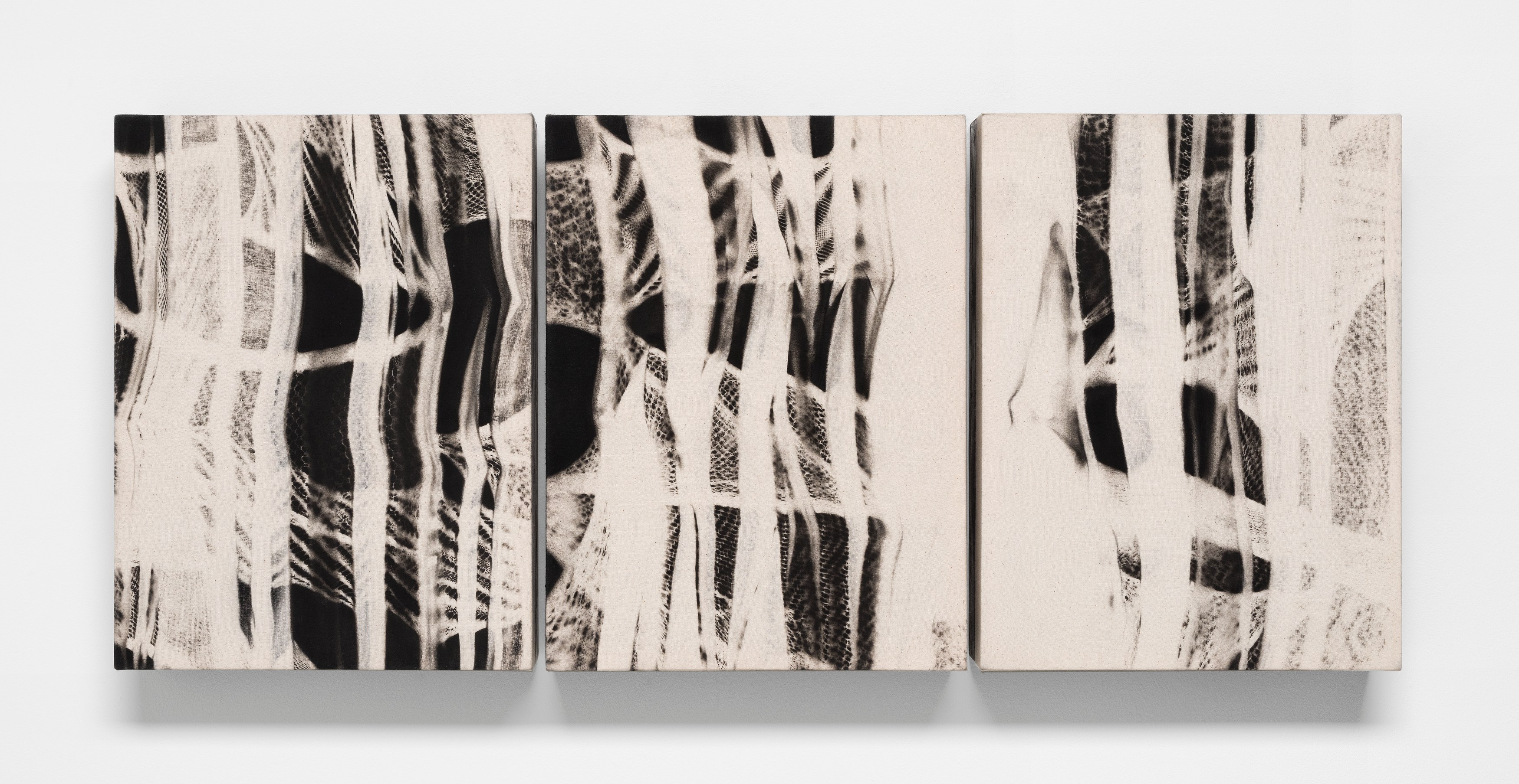 Martín Soto Climent, Phantograms at Michael Benevento Gallery, photo 6