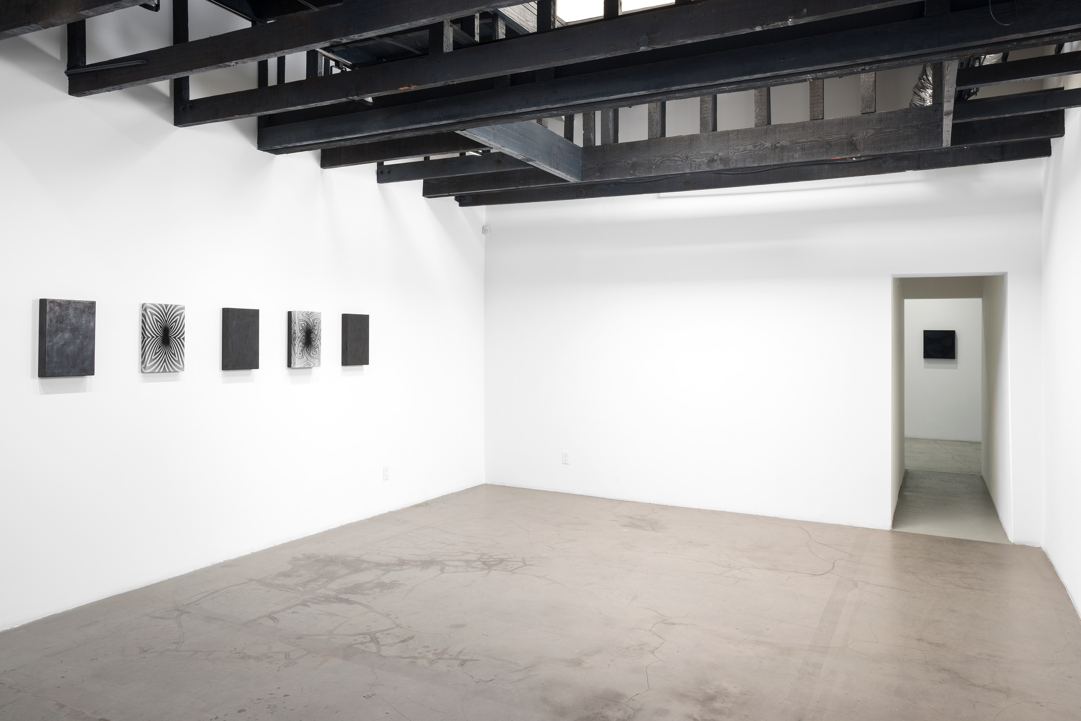 Martín Soto Climent, Phantograms at Michael Benevento Gallery, photo 34