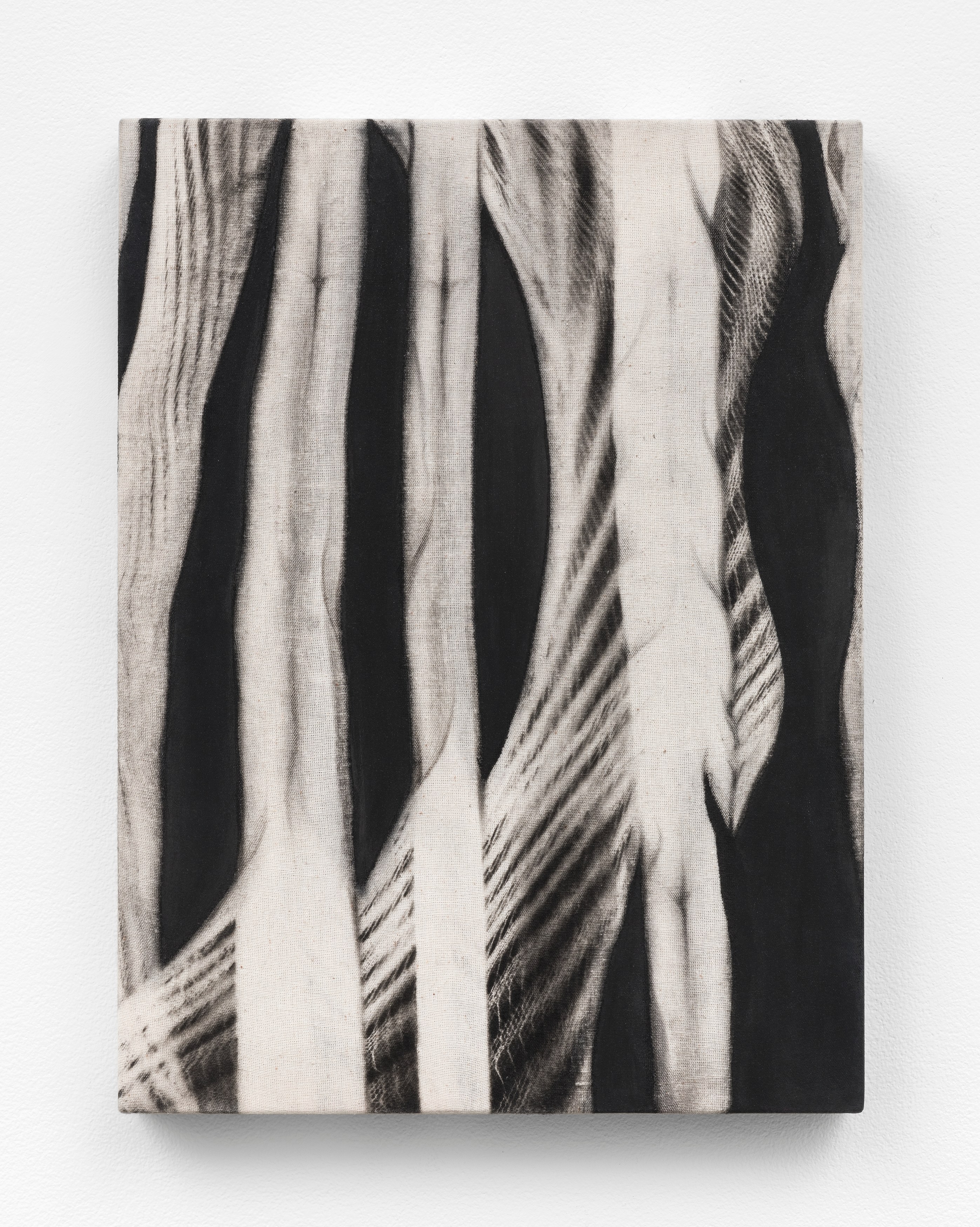 Martín Soto Climent, Phantograms at Michael Benevento Gallery, photo 41