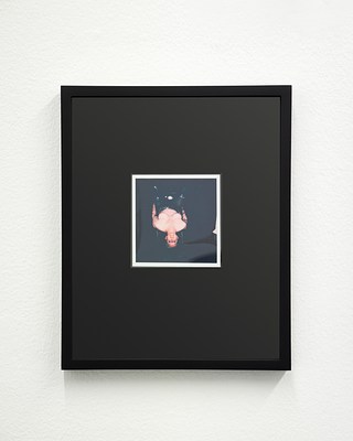 Image 10 of 18