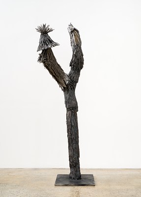 Image 2 of 16