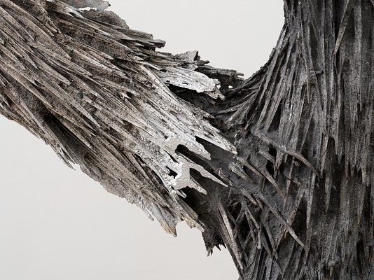 Image 6 of 16