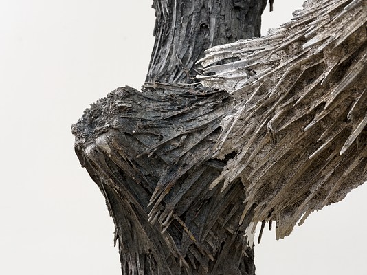 Image 8 of 16