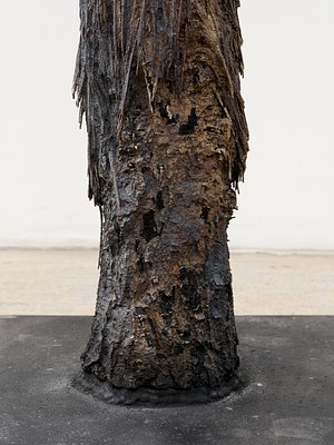 Image 10 of 16