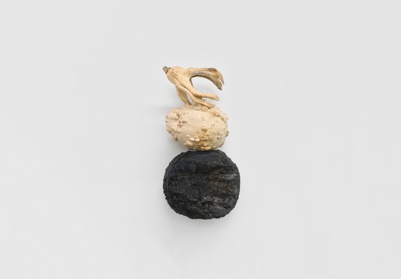 Image 4 of 34