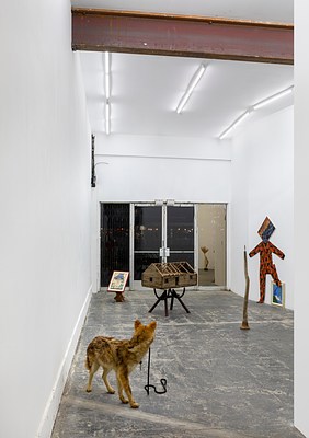 Image 7 of 26