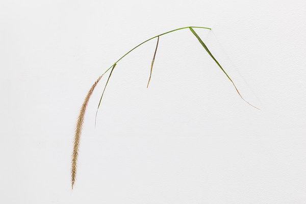 Image 23 of 26