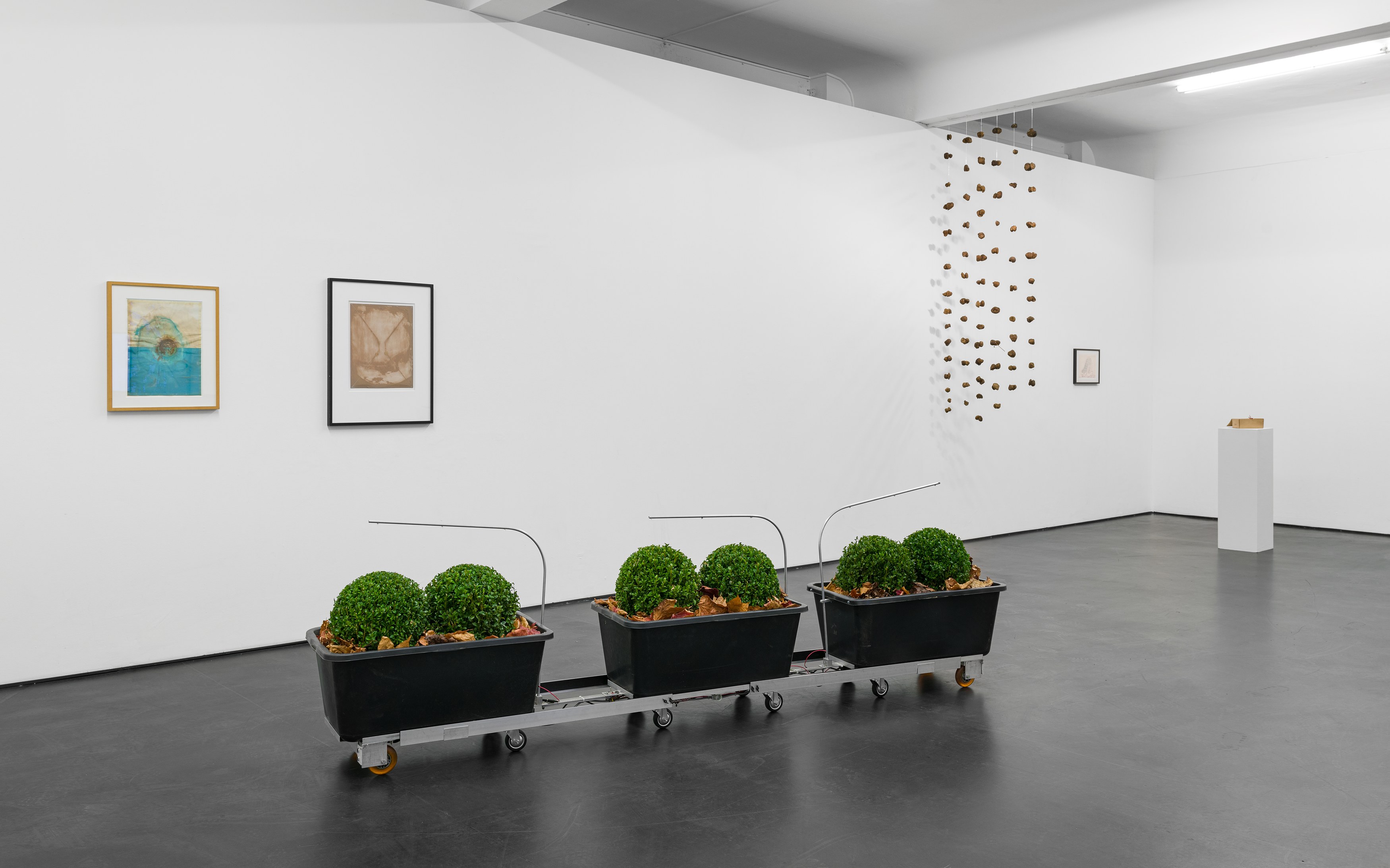 Andreas Greiner, Anne Duk Hee Jordan, Dieter Roth, Ichbla willbla wasbla ichbla willbla! at alexander levy, Berlin and LEVY Galerie, Berlin, photo 5