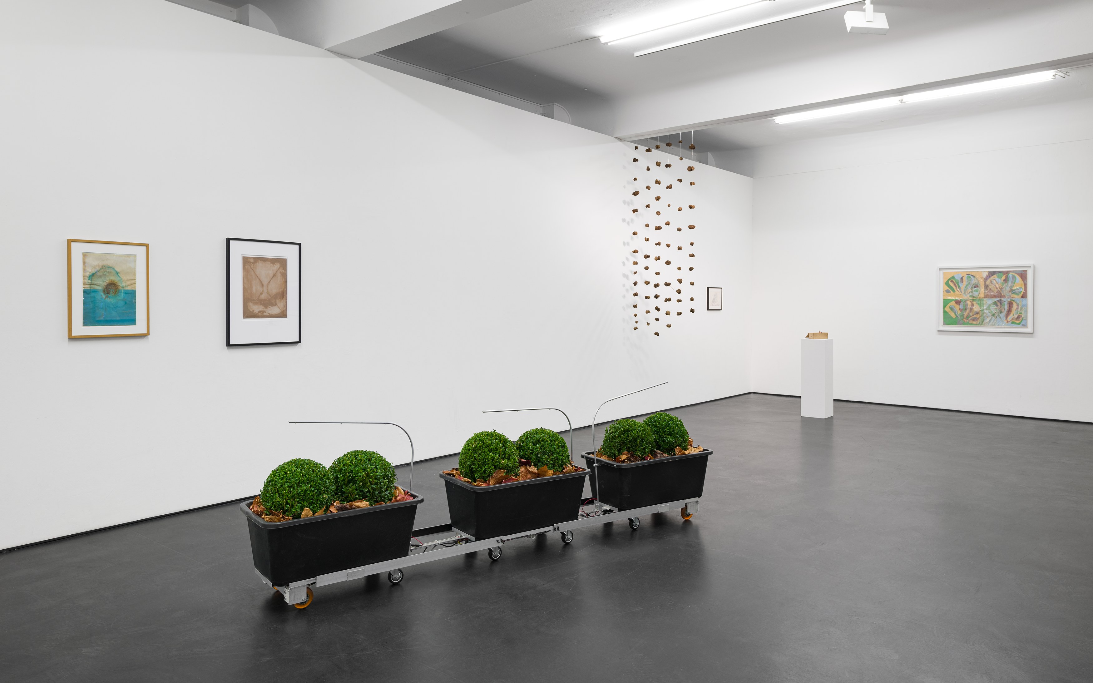 Andreas Greiner, Anne Duk Hee Jordan, Dieter Roth, Ichbla willbla wasbla ichbla willbla! at alexander levy, Berlin and LEVY Galerie, Berlin, photo 4