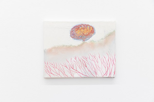 Image 10 of 34