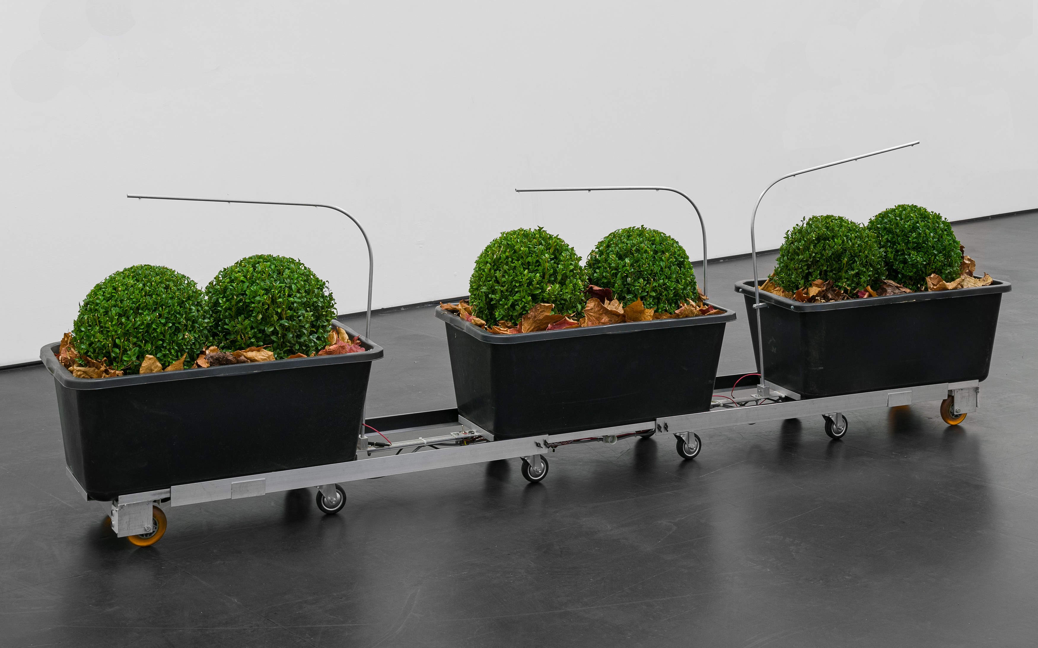 Andreas Greiner, Anne Duk Hee Jordan, Dieter Roth, Ichbla willbla wasbla ichbla willbla! at alexander levy, Berlin and LEVY Galerie, Berlin, photo 10