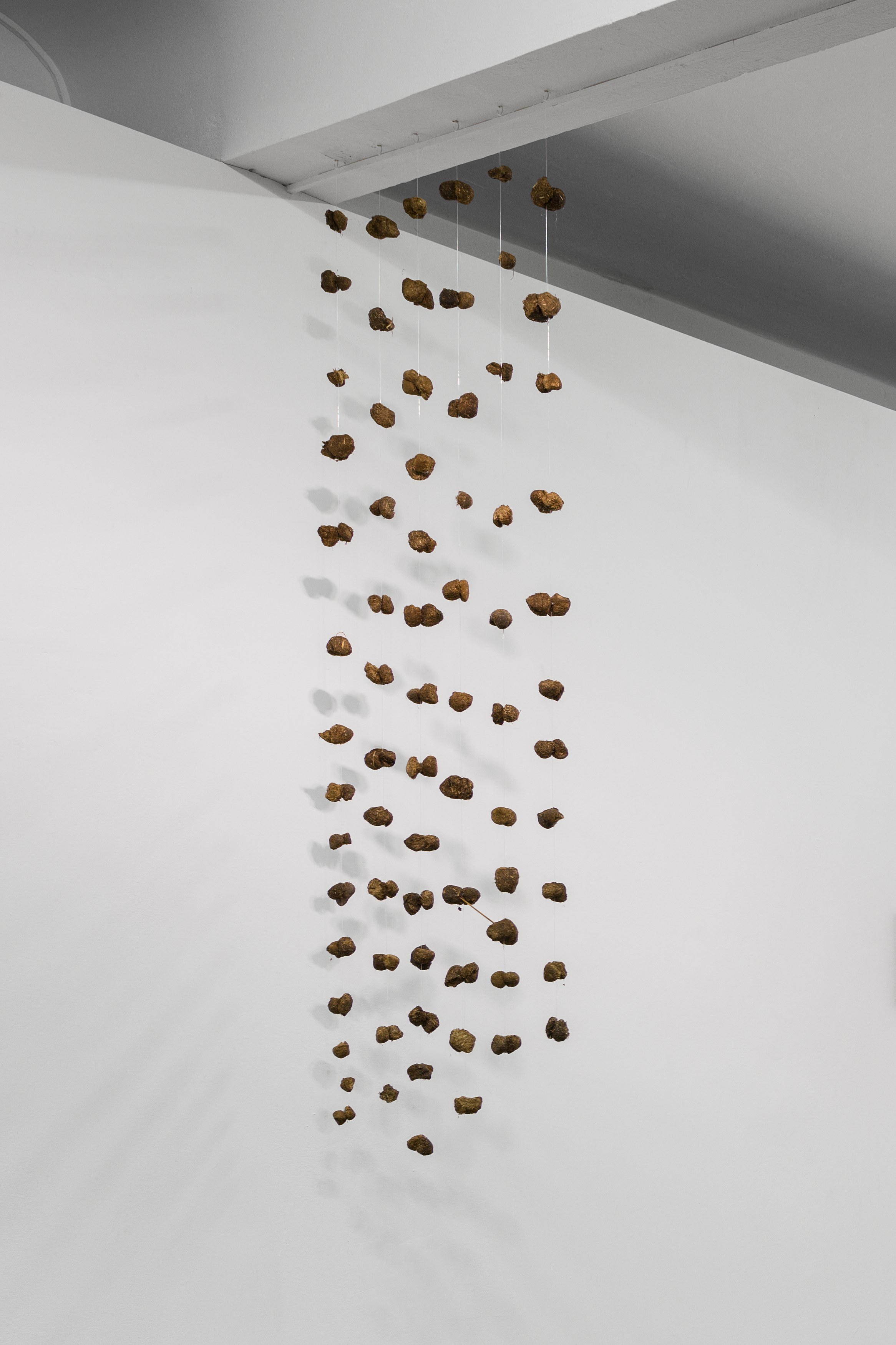 Andreas Greiner, Anne Duk Hee Jordan, Dieter Roth, Ichbla willbla wasbla ichbla willbla! at alexander levy, Berlin and LEVY Galerie, Berlin, photo 11