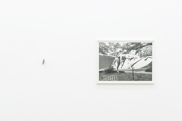 Image 16 of 38