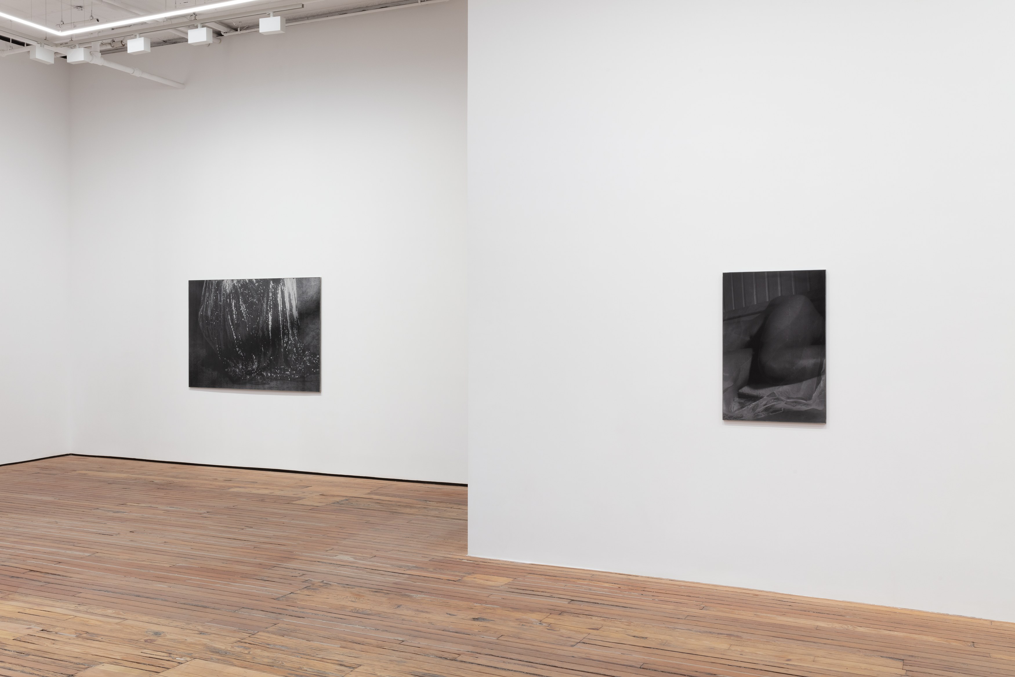 Dirk Braeckman, Luster./ at Grimm, photo 4