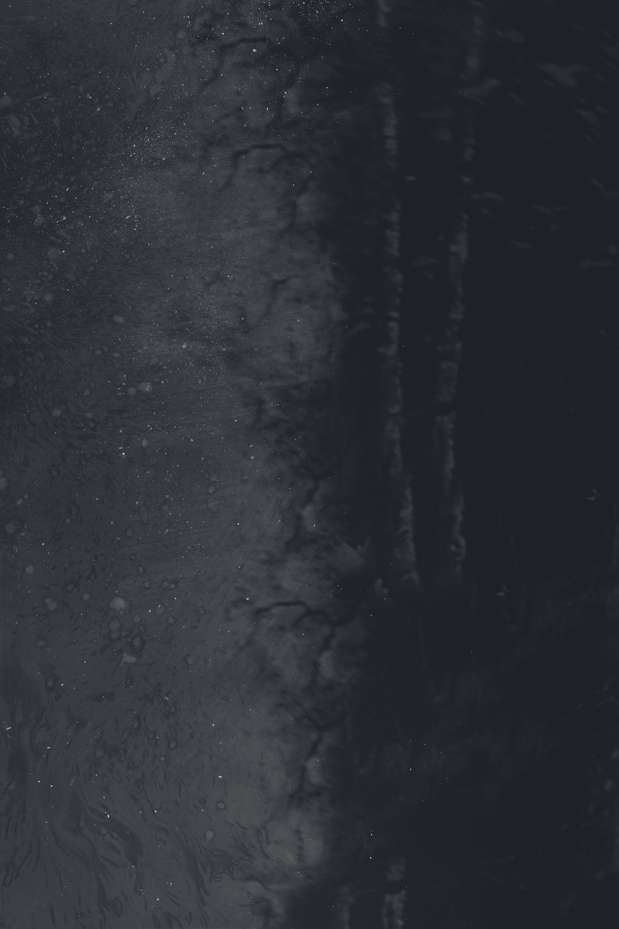 Dirk Braeckman, Luster./ at Grimm, photo 17
