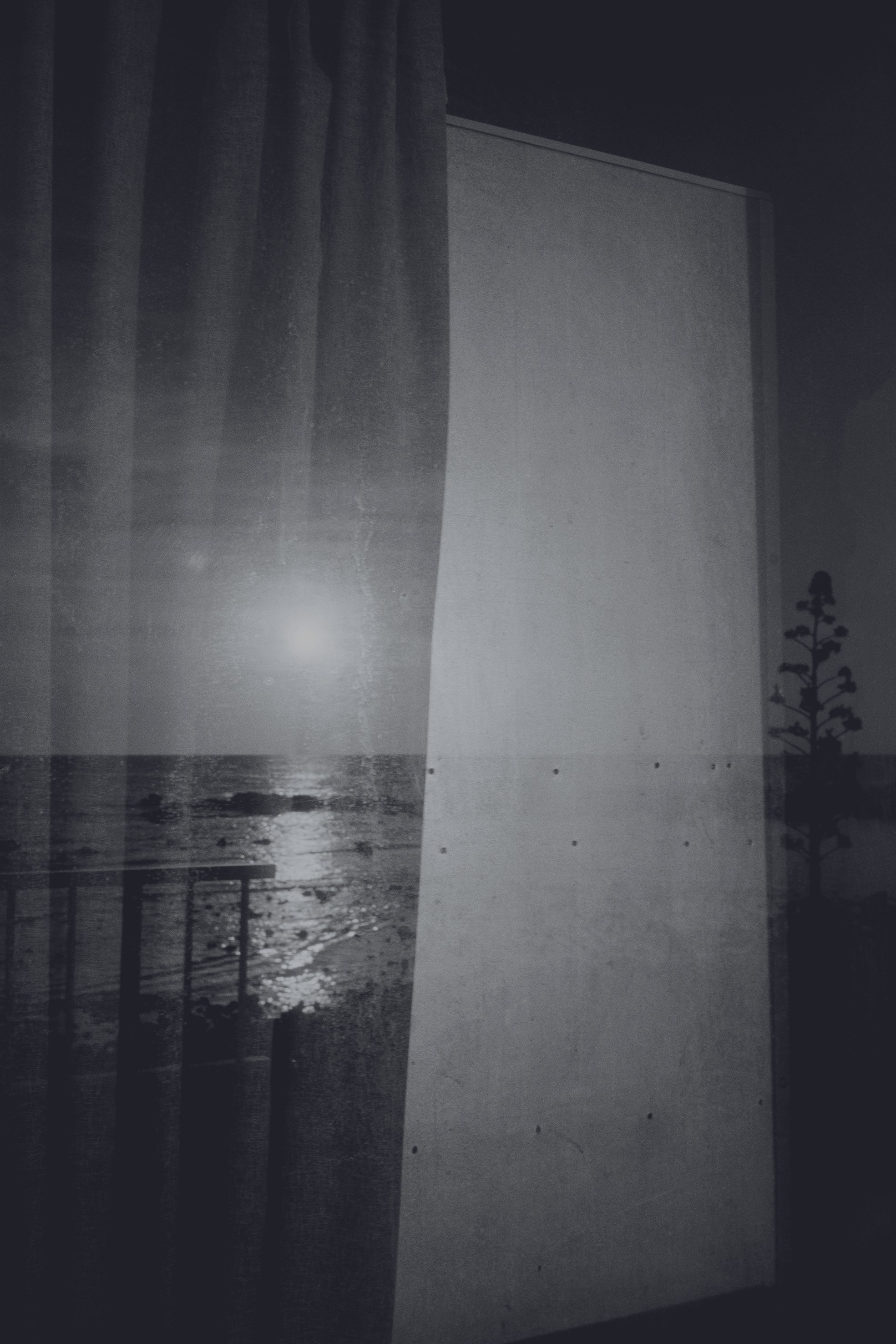 Dirk Braeckman, Luster./ at Grimm, photo 18