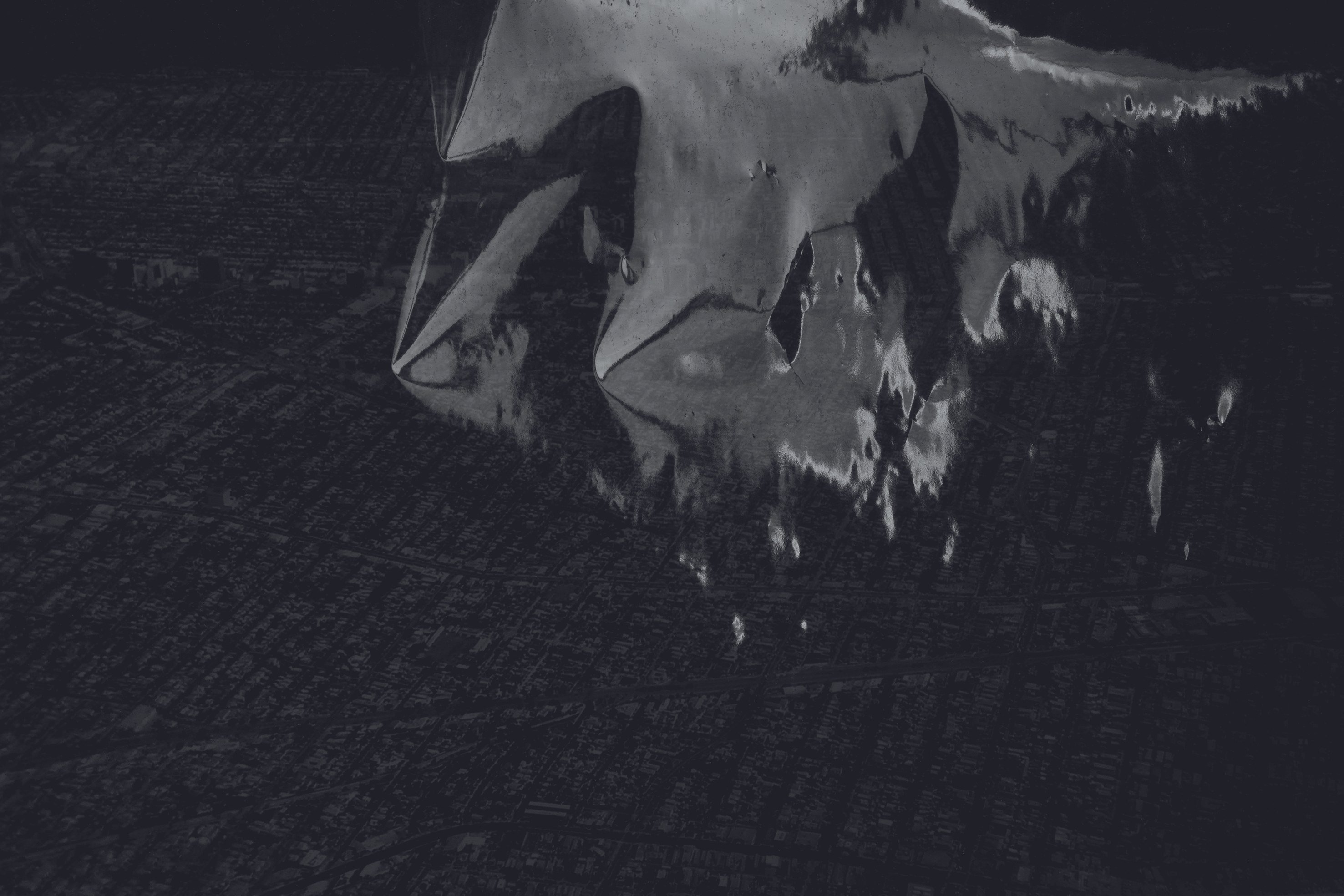 Dirk Braeckman, Luster./ at Grimm, photo 21