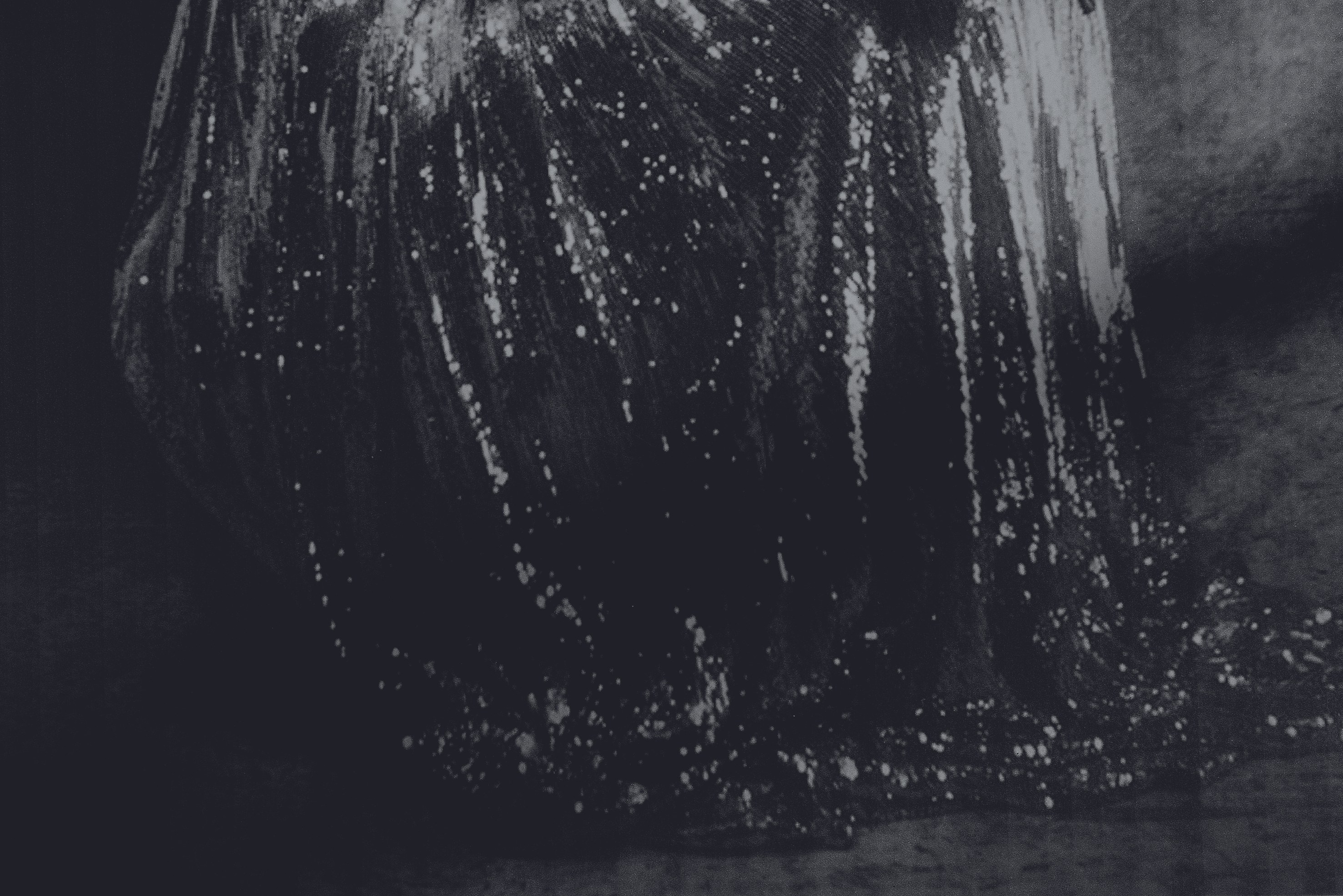 Dirk Braeckman, Luster./ at Grimm, photo 22