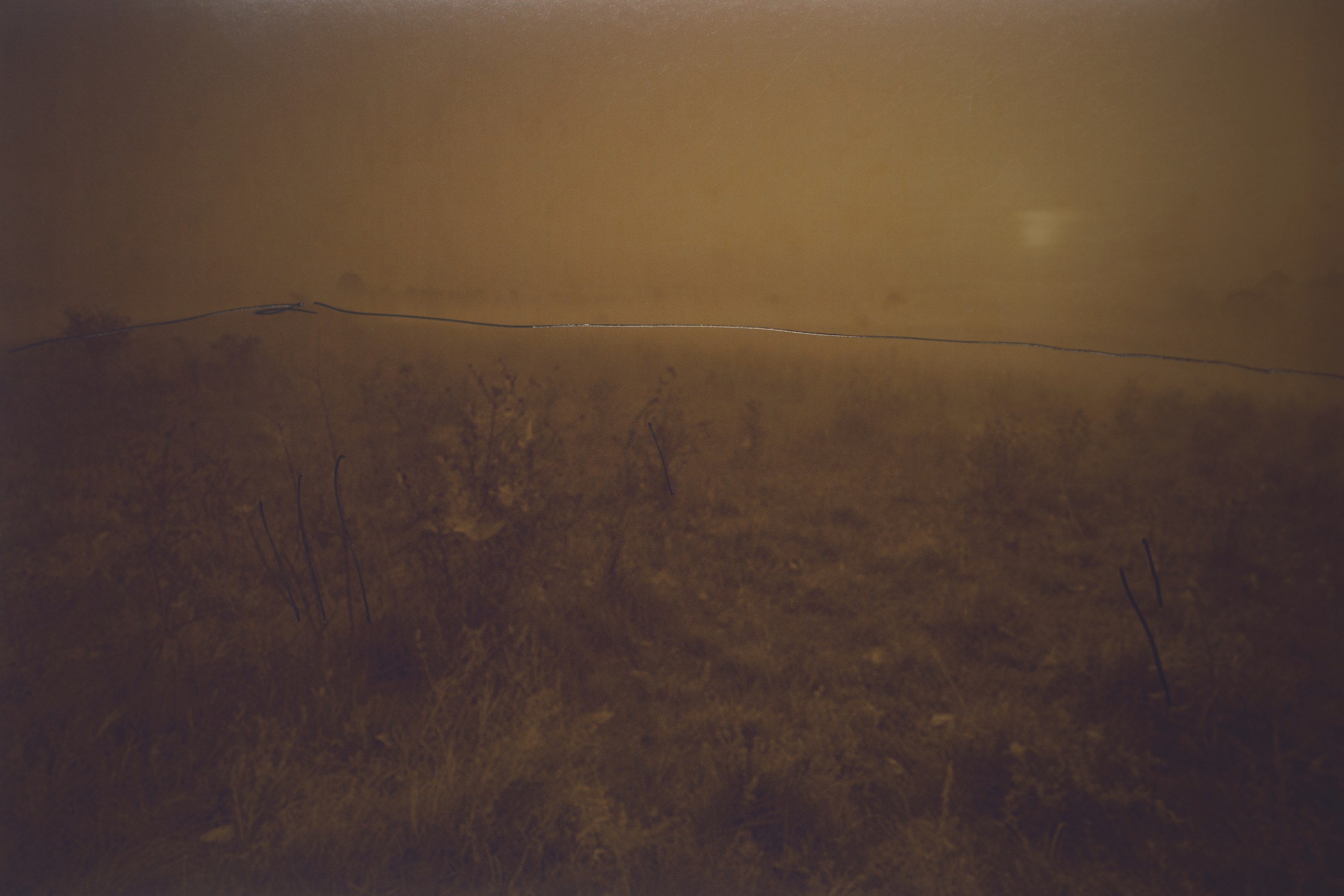 Dirk Braeckman, Luster./ at Grimm, photo 28
