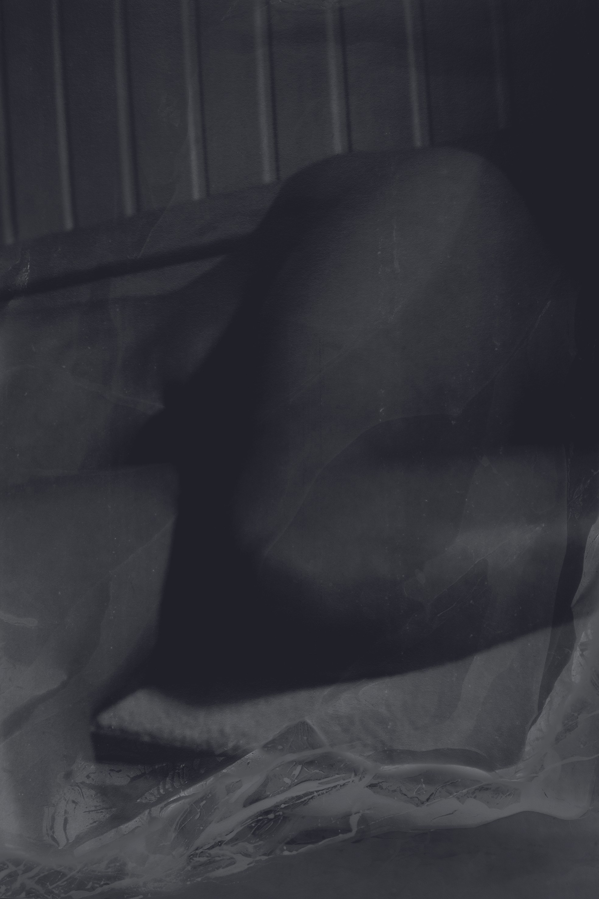 Dirk Braeckman, Luster./ at Grimm, photo 32