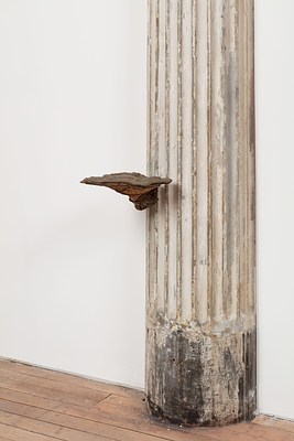 Image 17 of 18