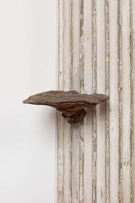 Image 18 of 18