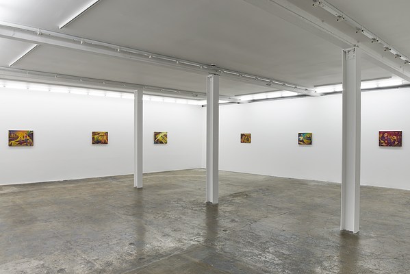 Image 1 of 61
