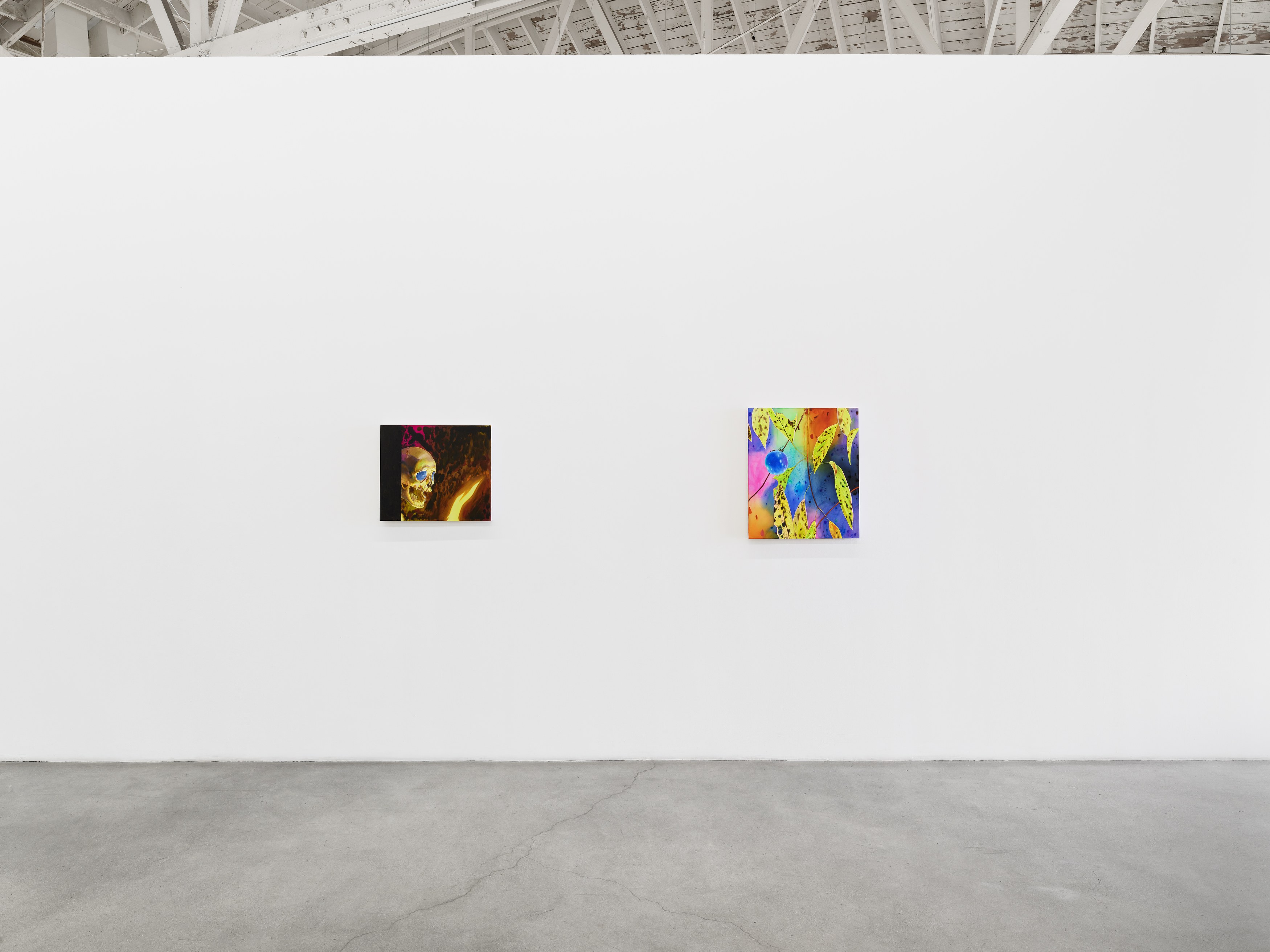 Paul Heyer, Naked at Night Gallery, photo 3