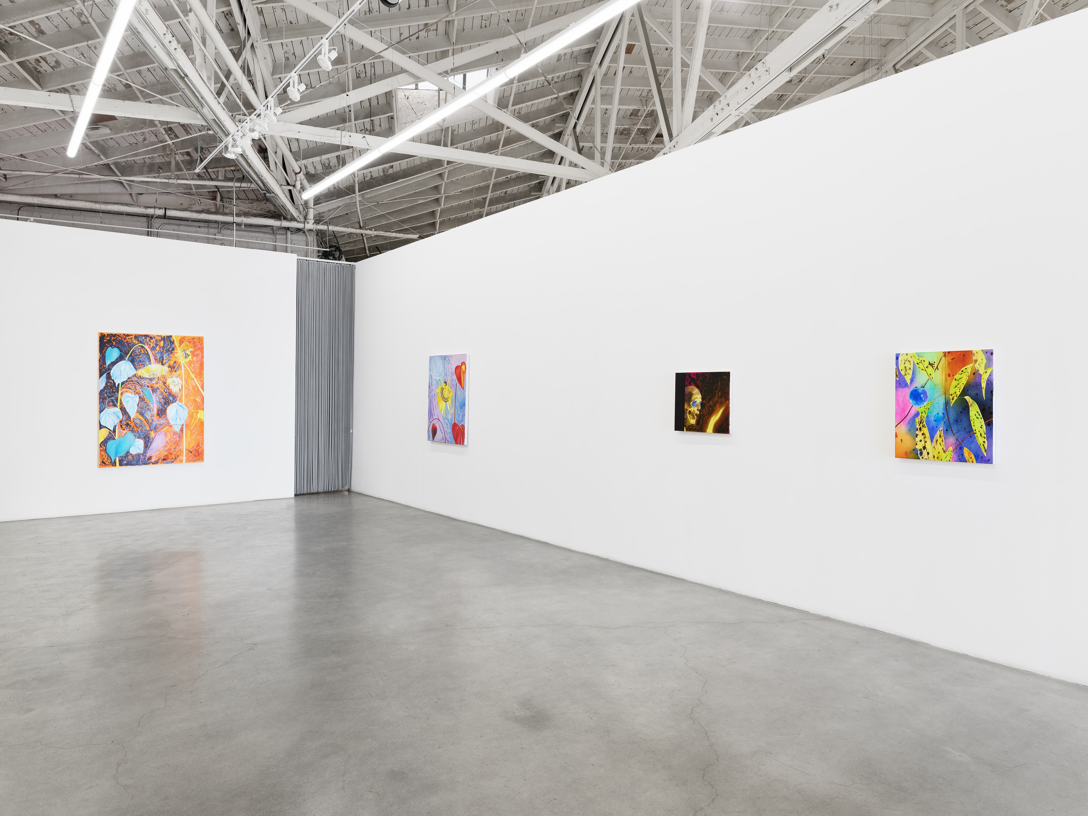 Paul Heyer, Naked at Night Gallery, photo 6