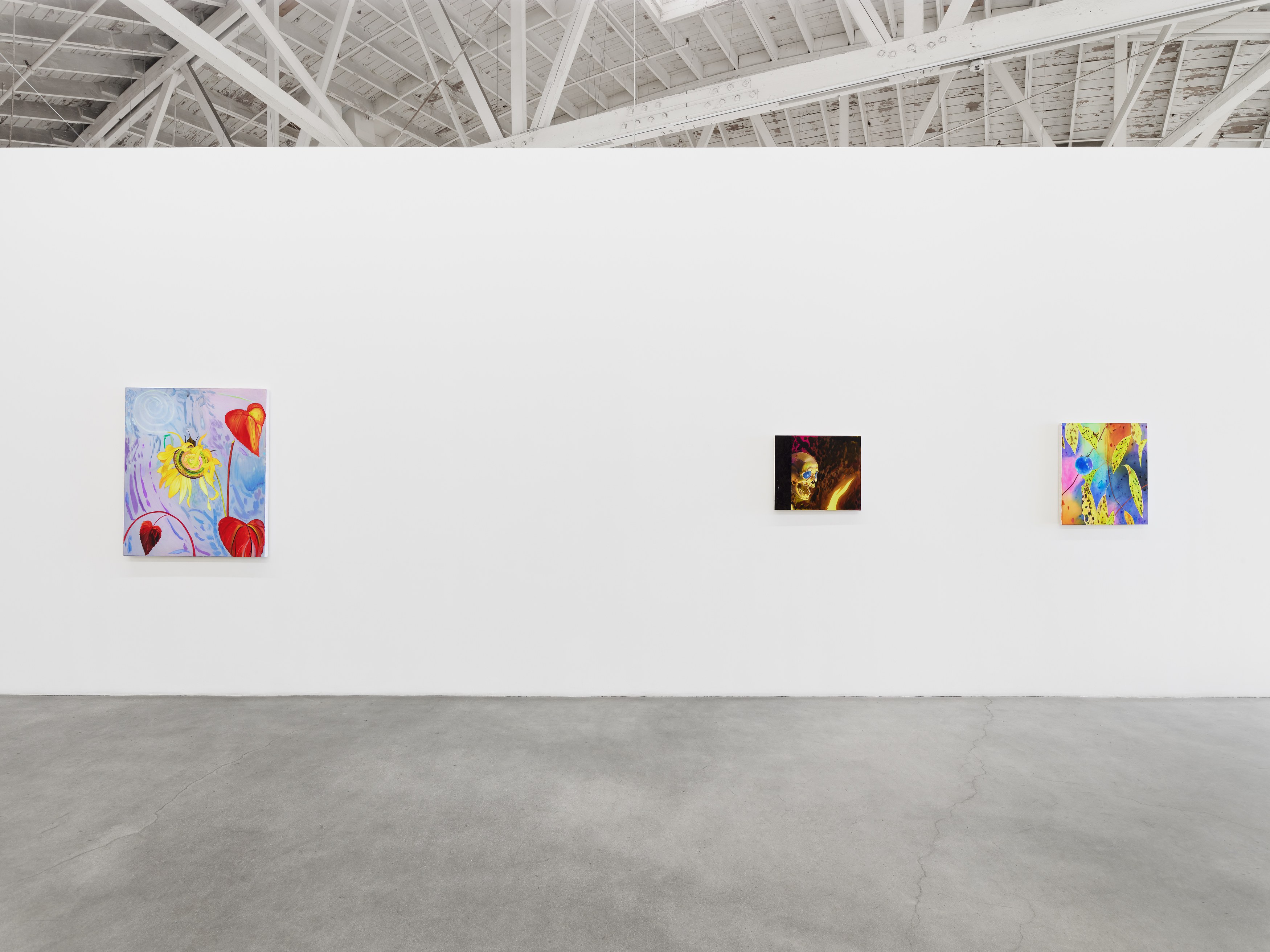 Paul Heyer, Naked at Night Gallery, photo 13