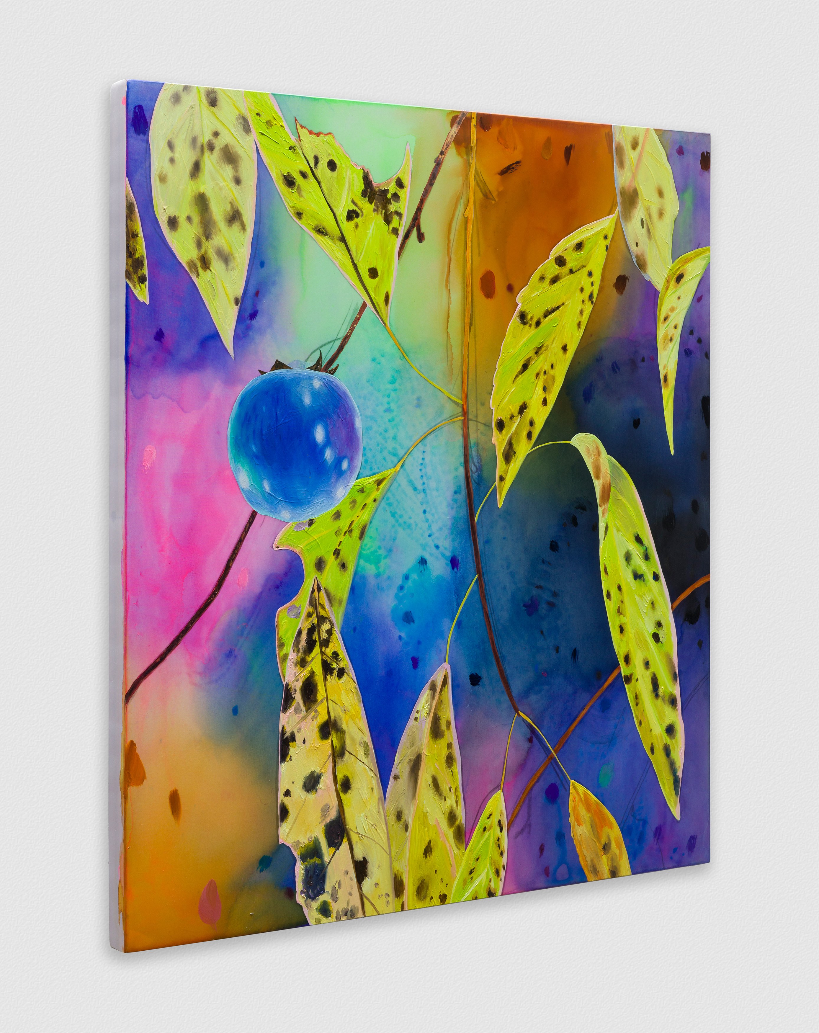 Paul Heyer, Naked at Night Gallery, photo 35