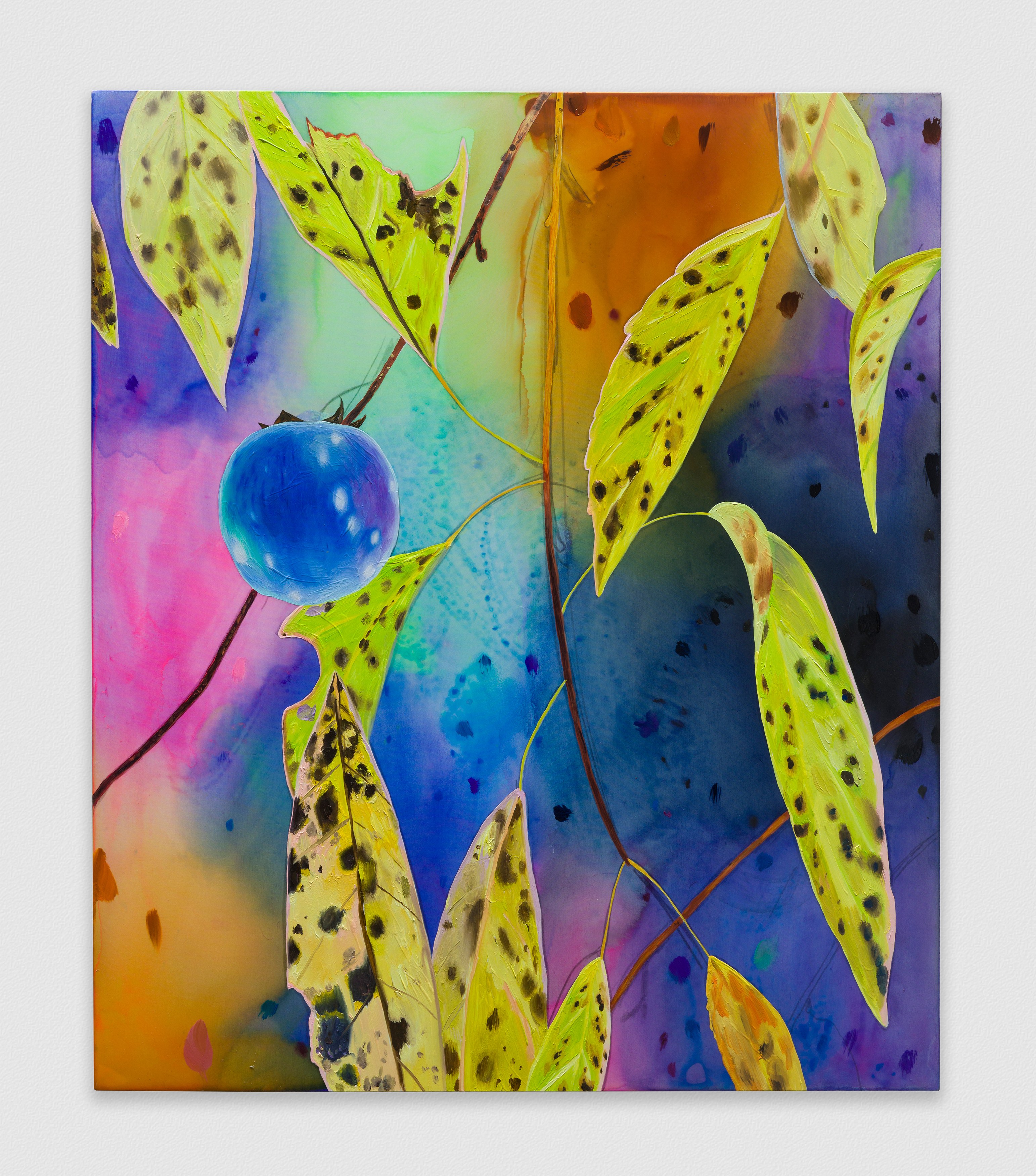 Paul Heyer, Naked at Night Gallery, photo 34