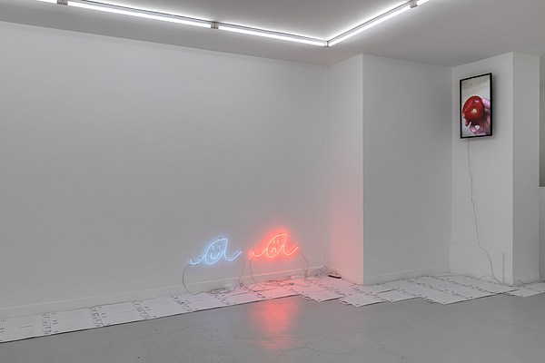 Image 2 of 12