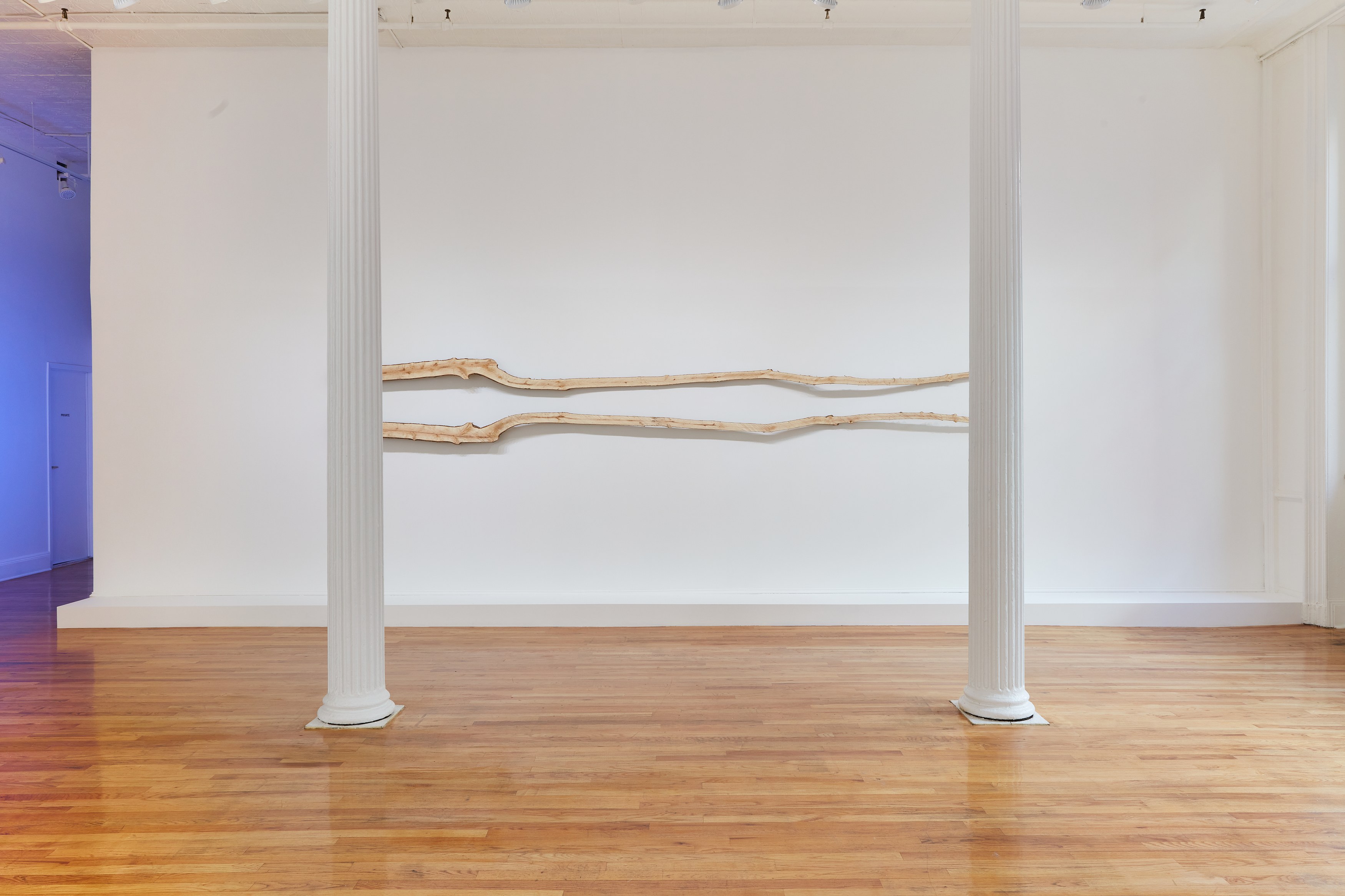 Richard Aldrich, Ei Arakawa-Nash, Virginia Overton, Untitled at Bortolami, photo 7