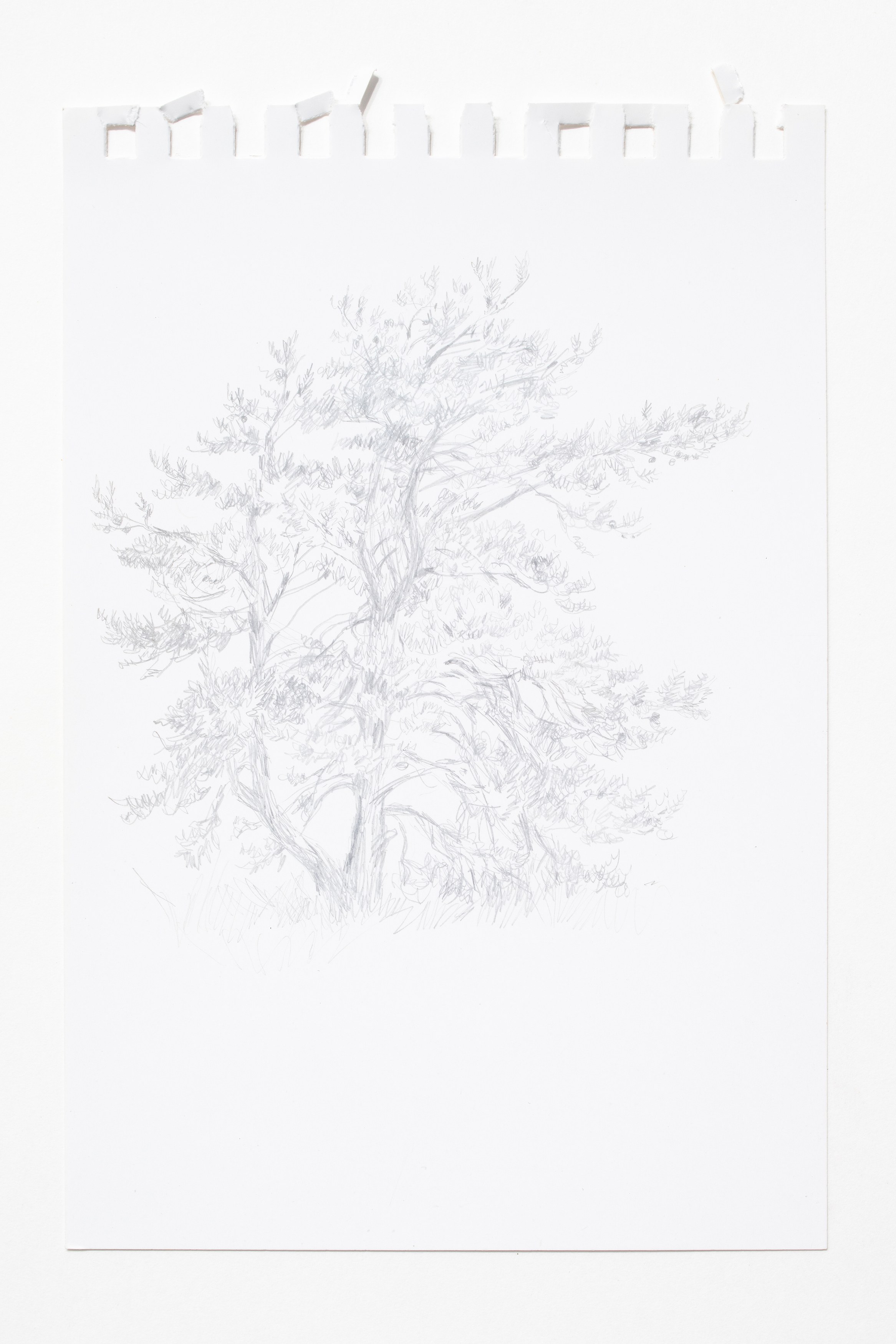 Louise Sartor, Rive gauche / Rive droite at Tragic Venus, CELESTE | data center Marilyn, Champs-sur-Marne, photo 25