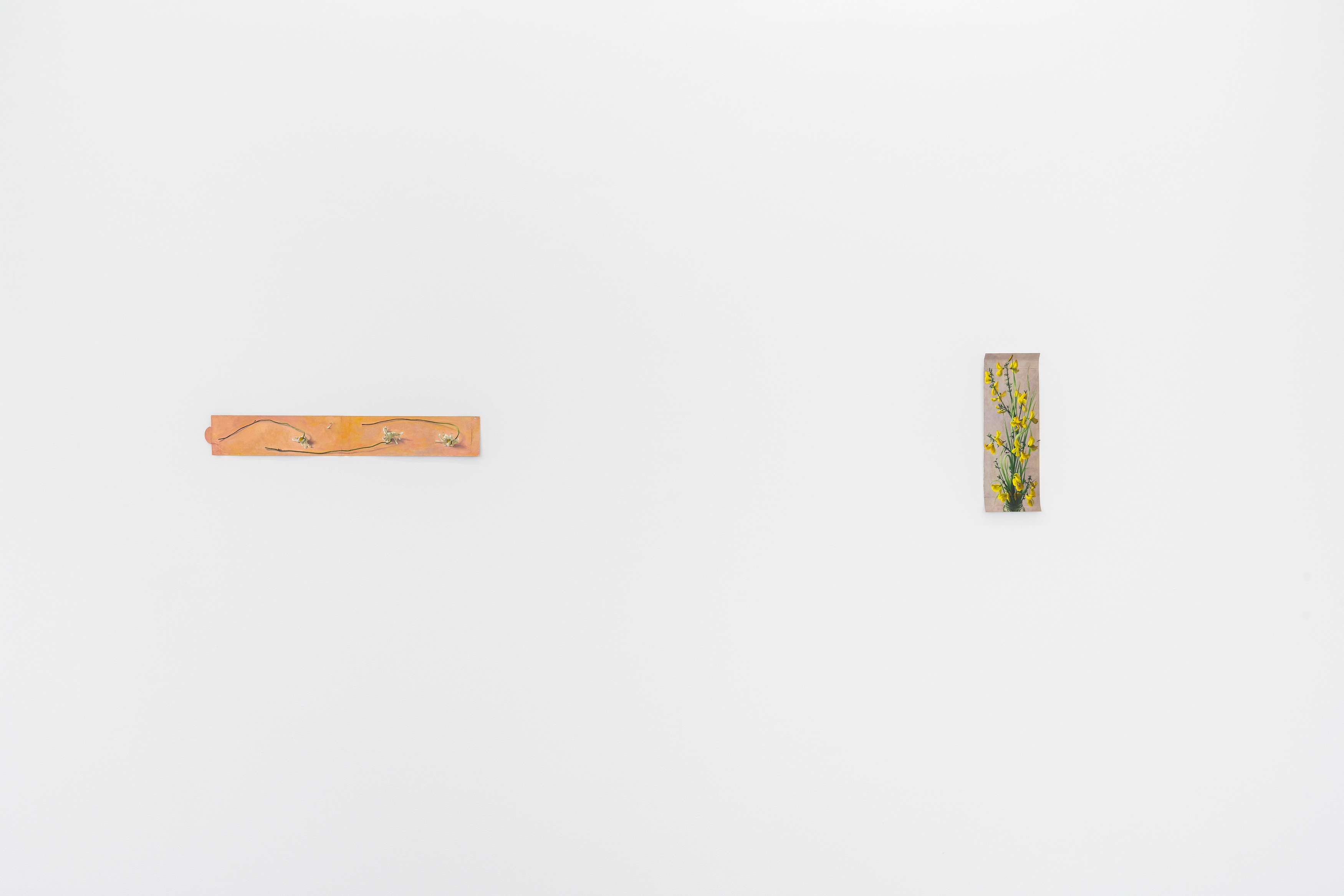 Louise Sartor, Rive gauche / Rive droite at Tragic Venus, CELESTE | data center Marilyn, Champs-sur-Marne, photo 28