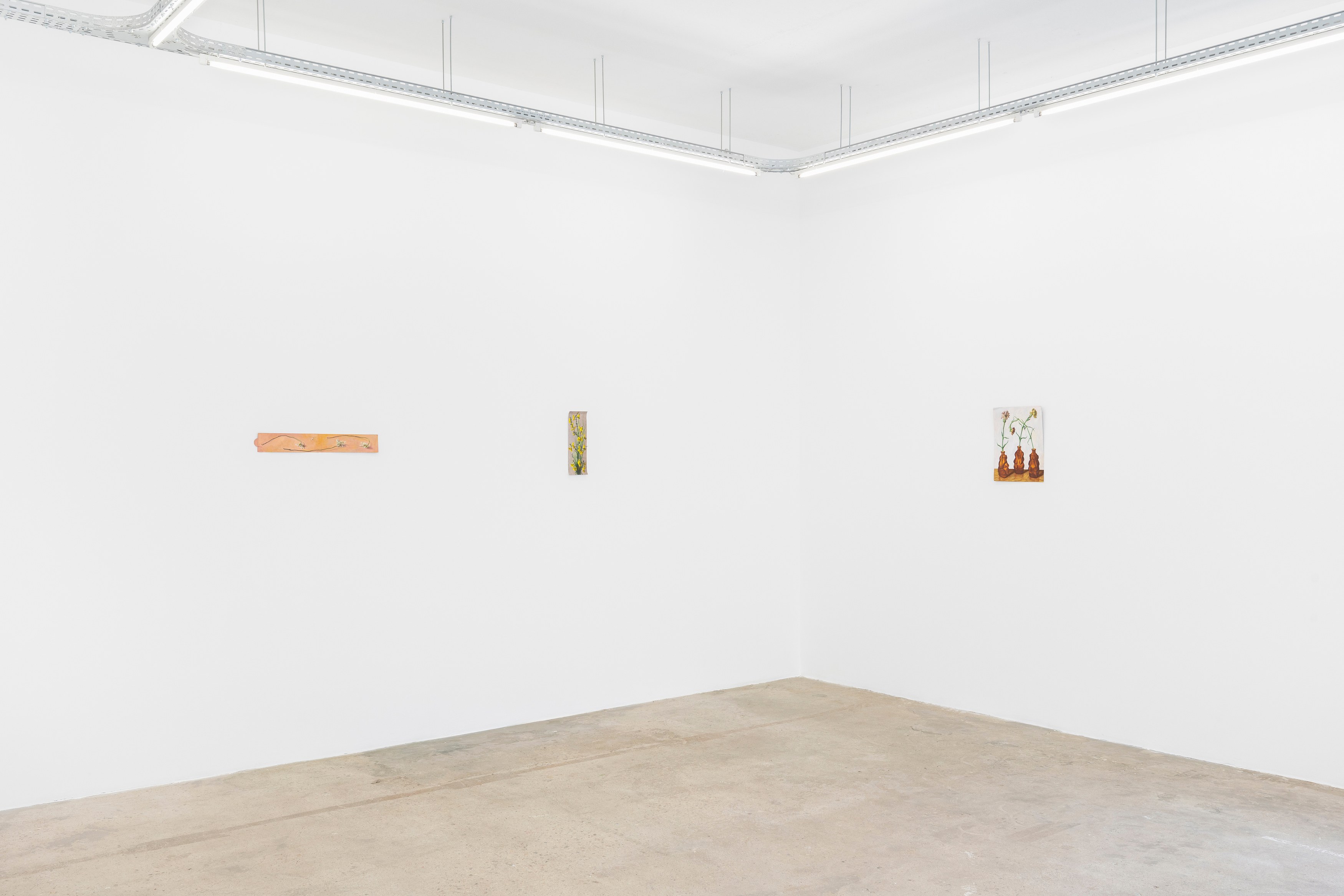 Louise Sartor, Rive gauche / Rive droite at Tragic Venus, CELESTE | data center Marilyn, Champs-sur-Marne, photo 32