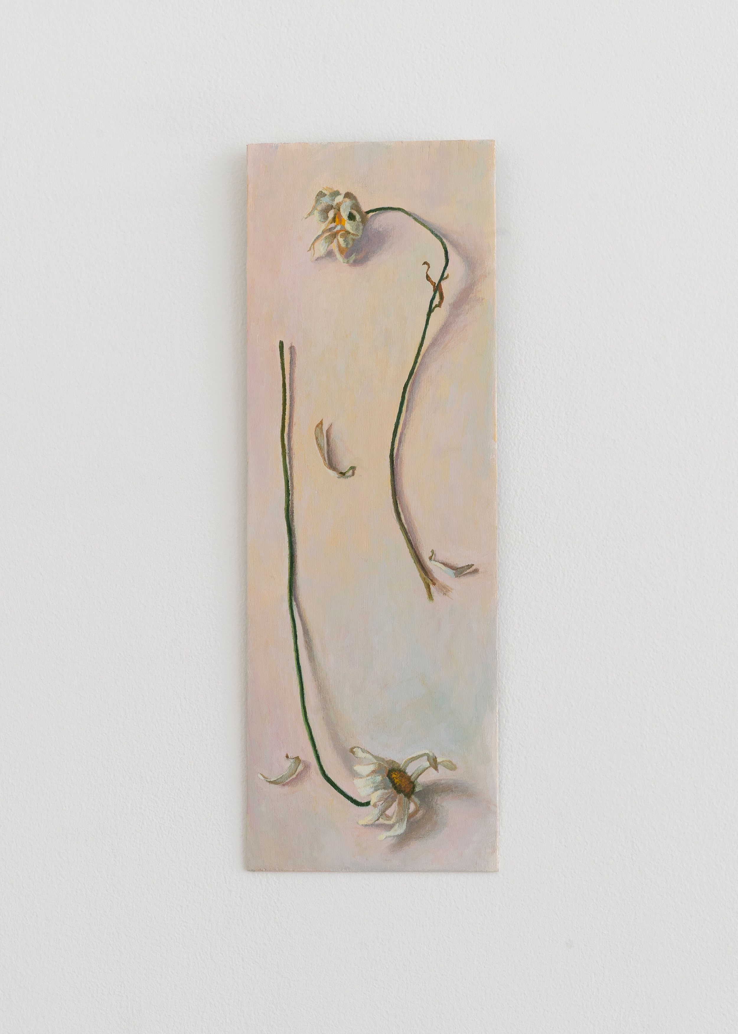 Louise Sartor, Rive gauche / Rive droite at Tragic Venus, CELESTE | data center Marilyn, Champs-sur-Marne, photo 60