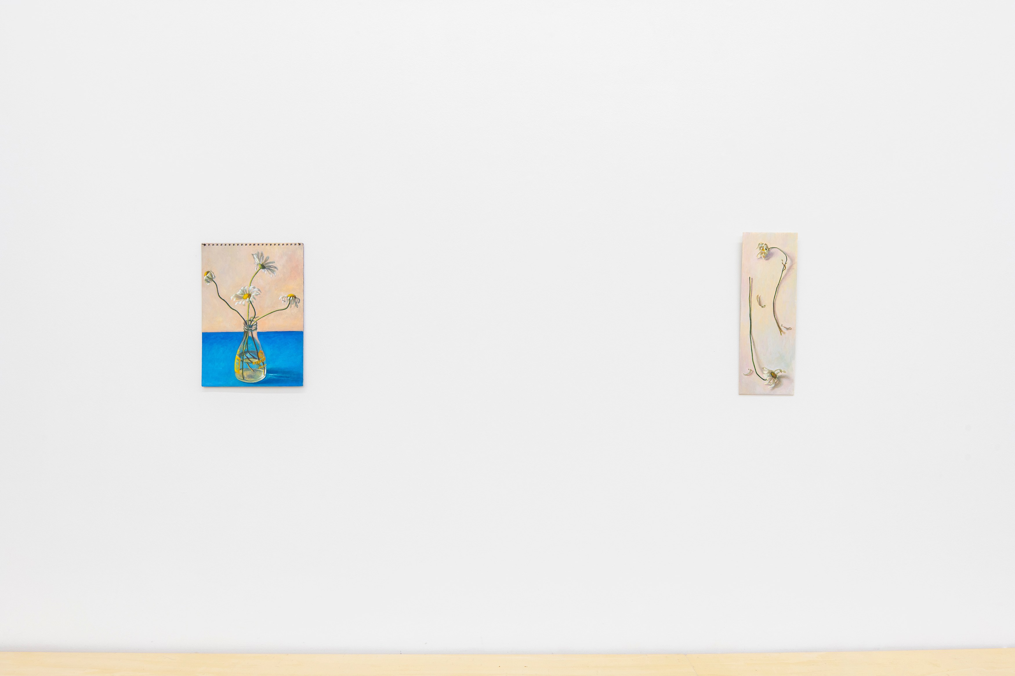Louise Sartor, Rive gauche / Rive droite at Tragic Venus, CELESTE | data center Marilyn, Champs-sur-Marne, photo 61