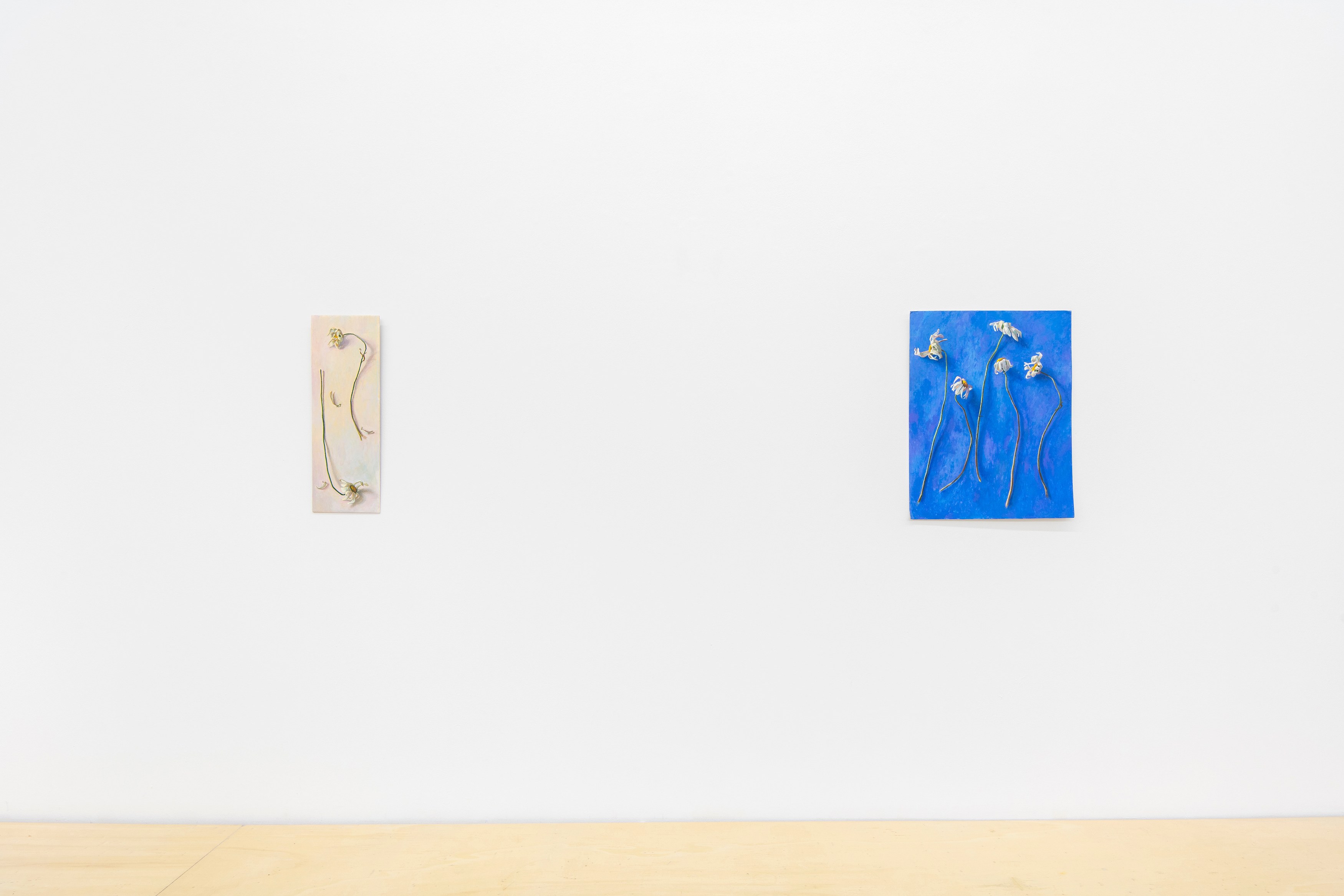 Louise Sartor, Rive gauche / Rive droite at Tragic Venus, CELESTE | data center Marilyn, Champs-sur-Marne, photo 63