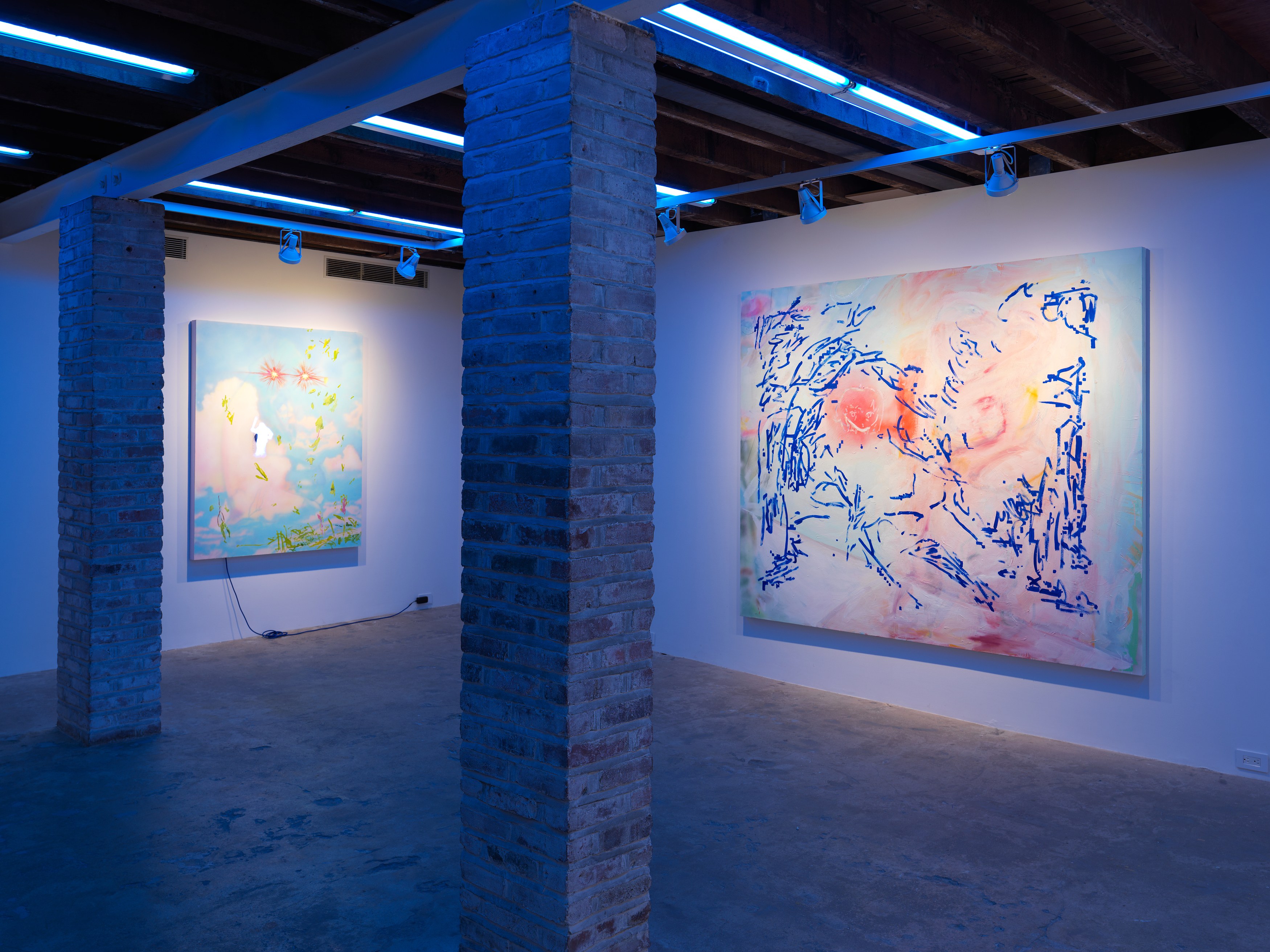 Rachel Rossin, Boohoo Stamina at Magenta Plains, photo 2