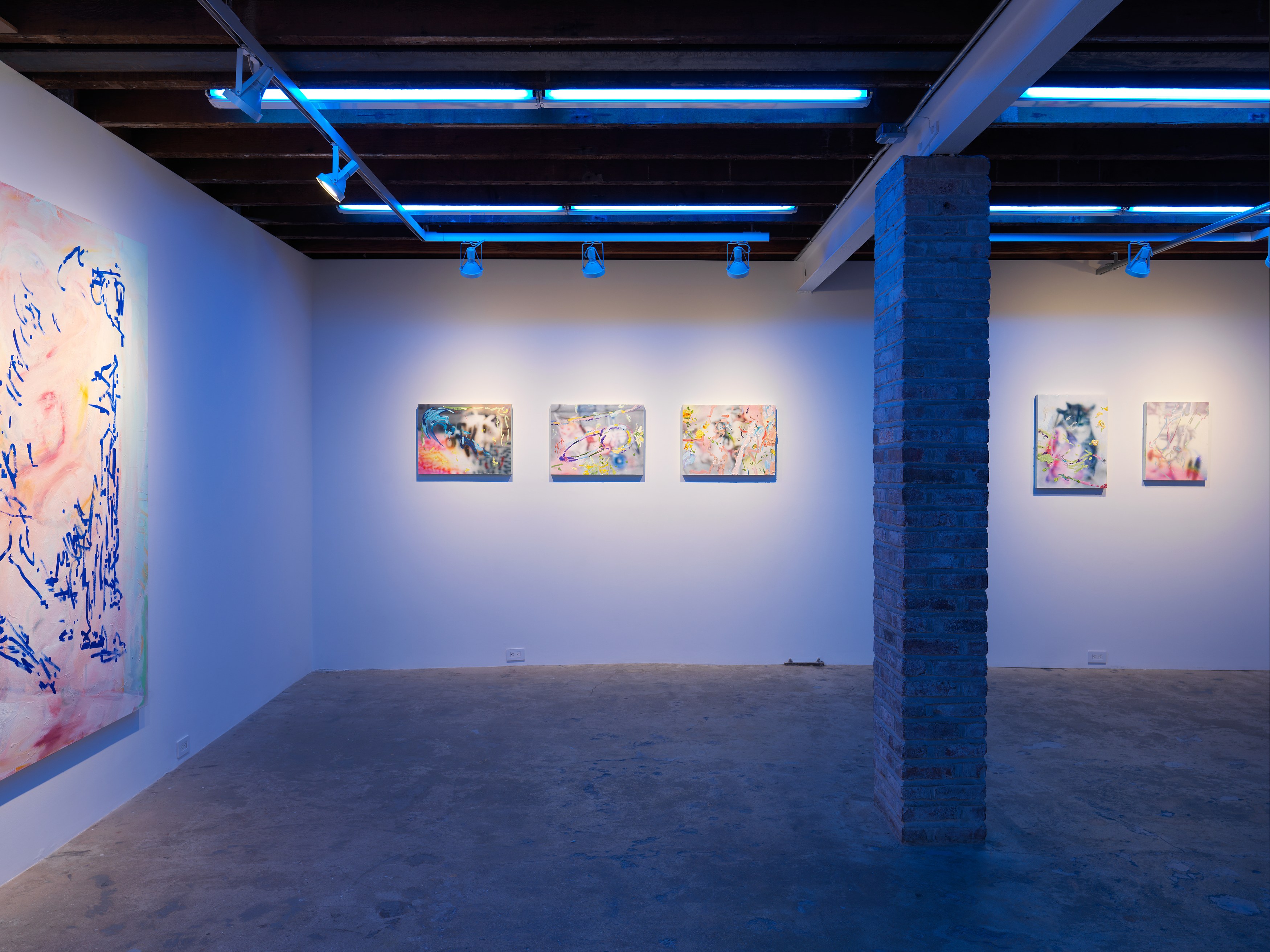 Rachel Rossin, Boohoo Stamina at Magenta Plains, photo 5