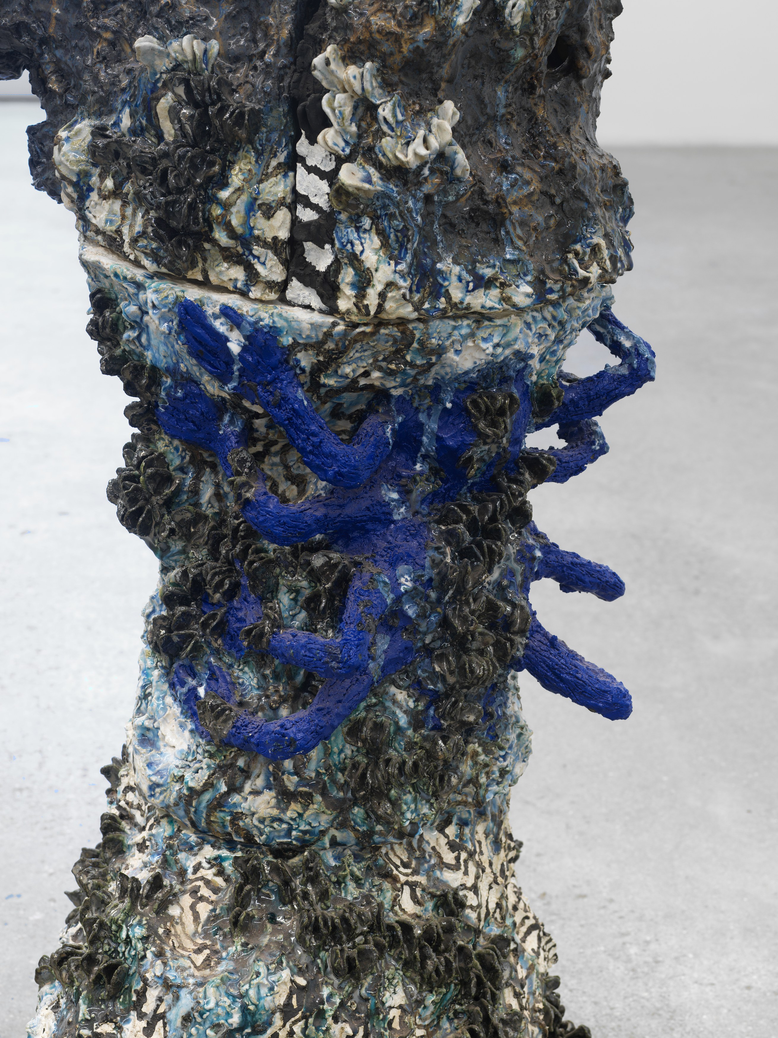 Earthly Coil, Earthly Coil at Magenta Plains, photo 19