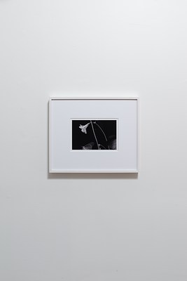 Image 9 of 11